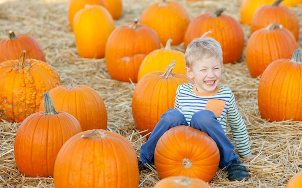 Pumpkin Patch Hayrides Orlando