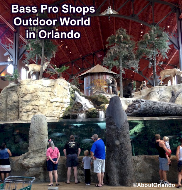 Best shops in Orlando includes Bass Pro Shops Outdoor World at Artegon Market on International Drive.  Bass Pro Shops Orlando Review from AboutOrlando.com 