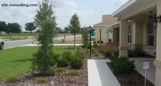 Setting up green foundations in Orlando yards. MORE: AboutOrlando.com