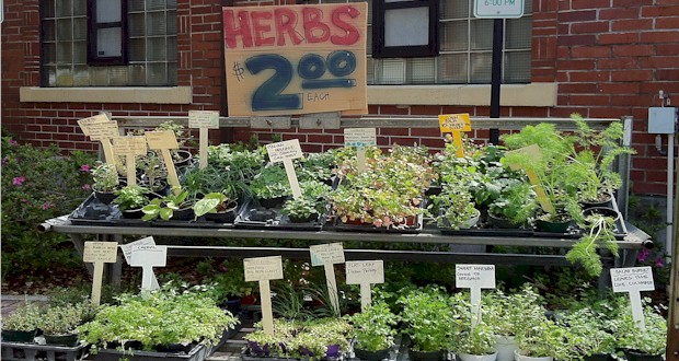 Winter Park Farmers Market