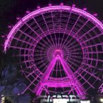 orlando-eye-pink